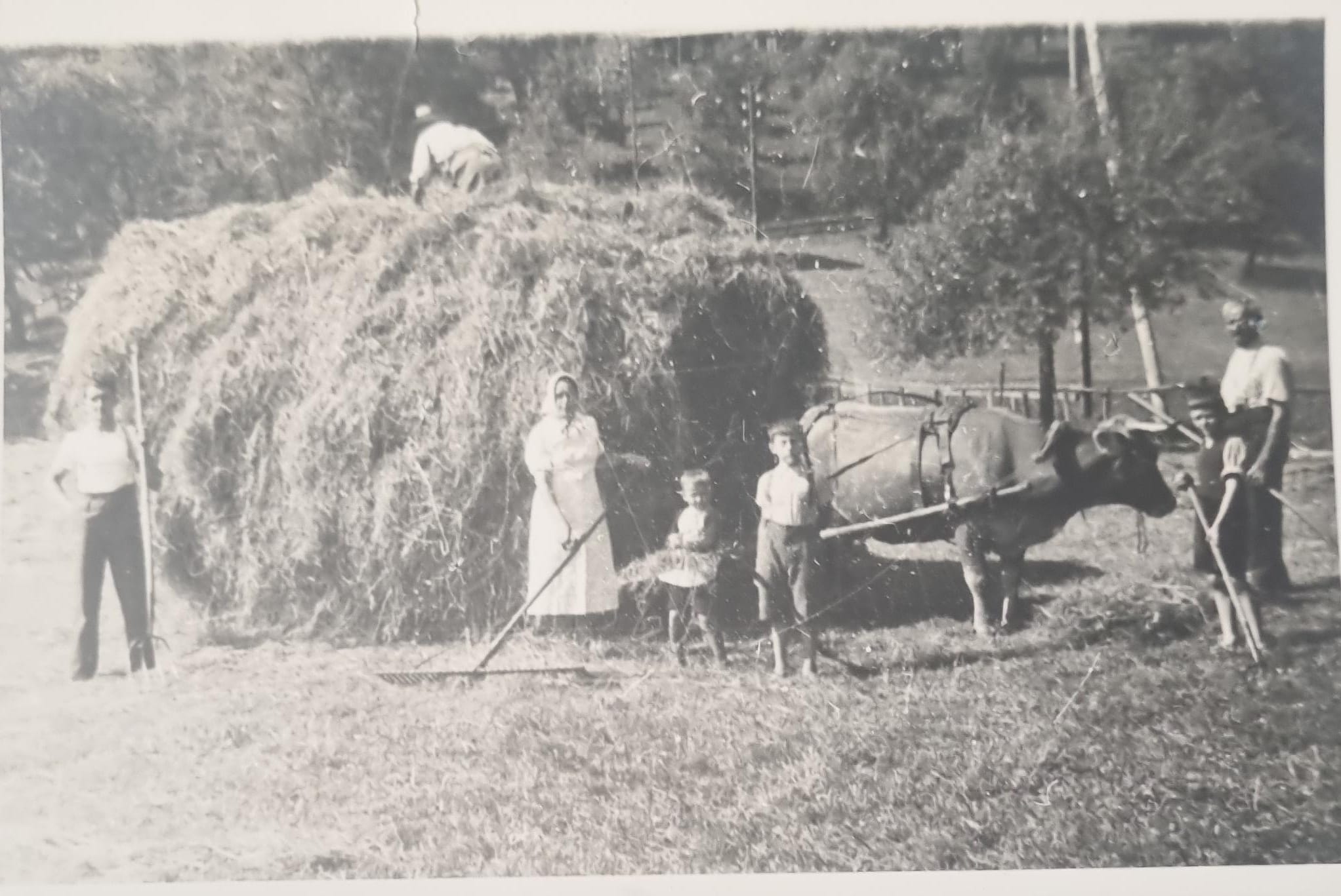 Landwirtschaft "Am Heuen" Fotokarte