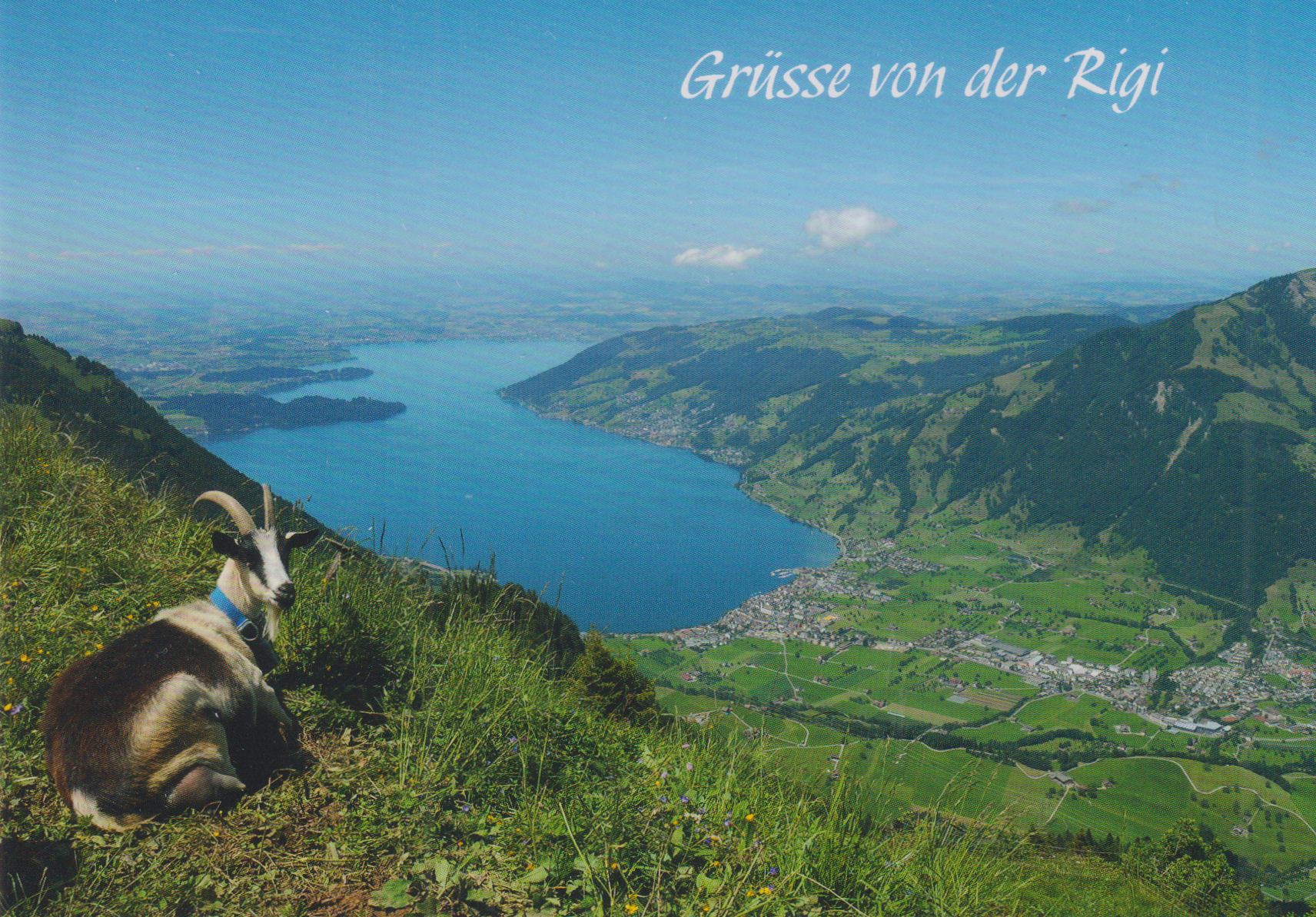 Ansichtskarte Rigi Kulm