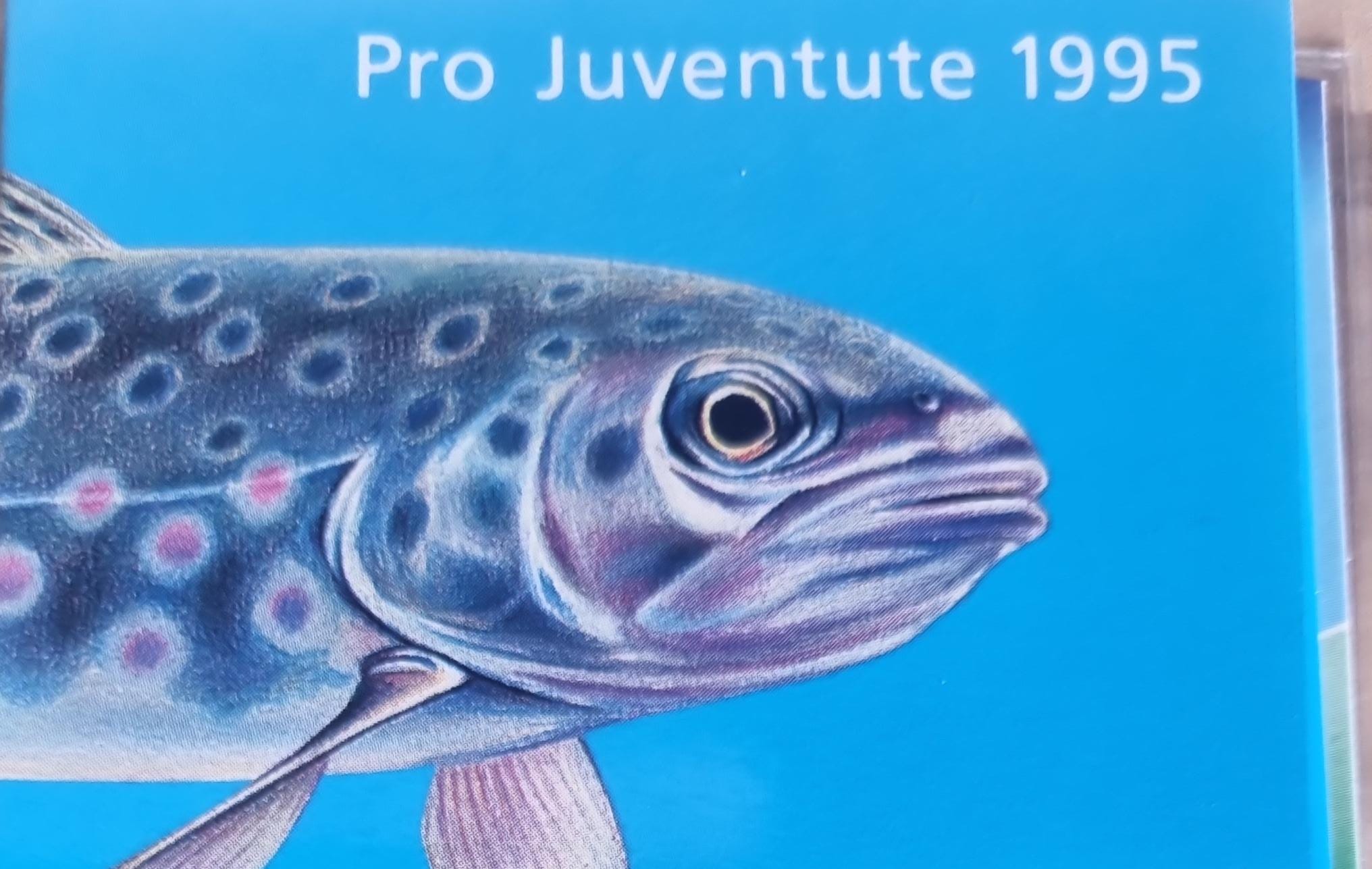 Pro Juventute Markenheft 1995 postfrisch