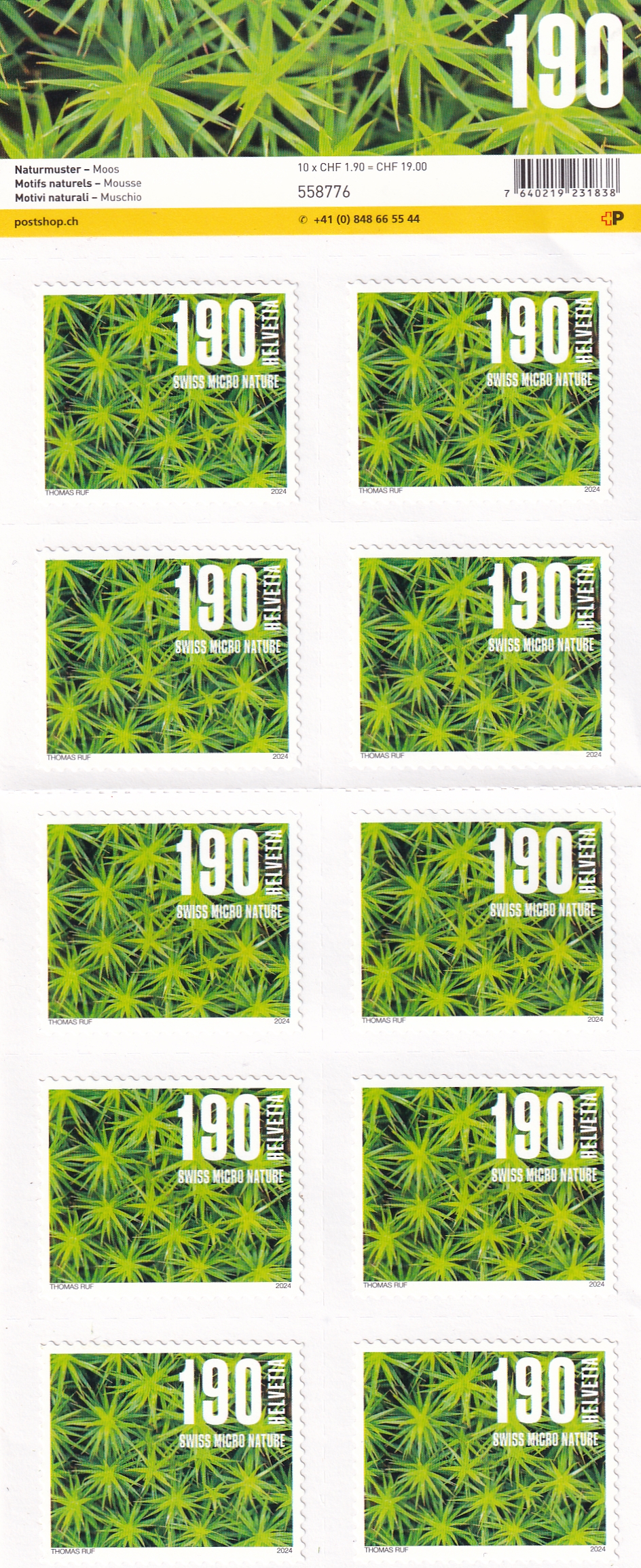 2024 Frankaturware 10 x1.90