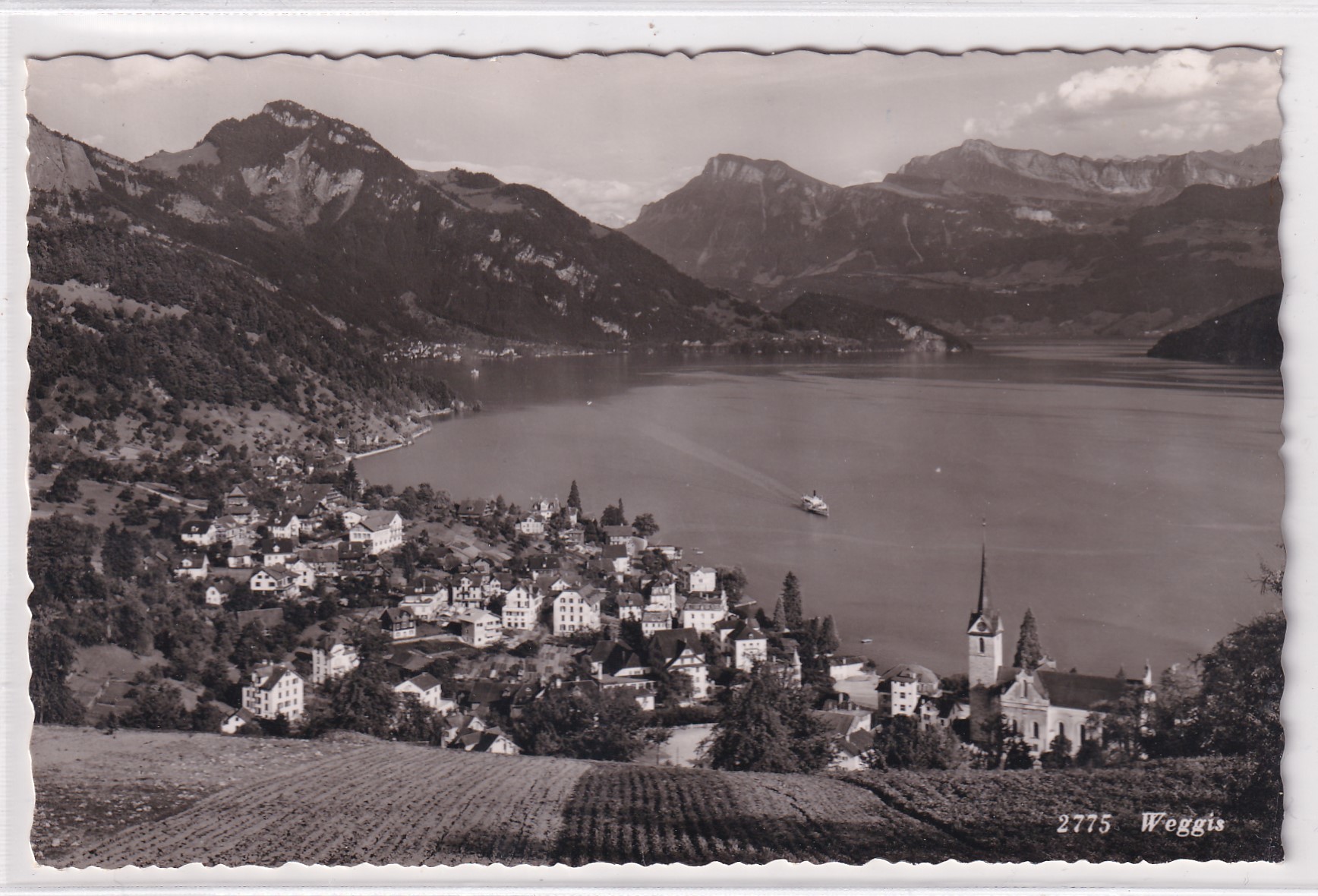Ansichtskarte von Weggis LU10.09.1951