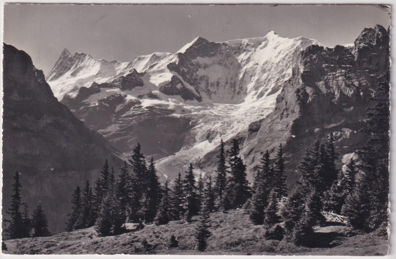 Ansichtskarte 12.10.1964 Grindelwald - Küssnacht