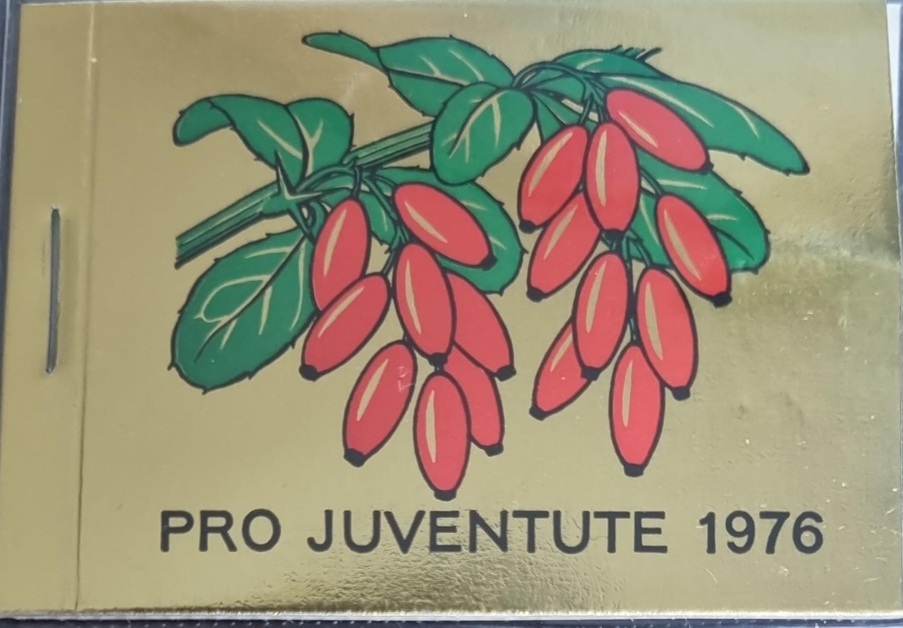 Pro Juventute Markenheft 1976 Postfrisch