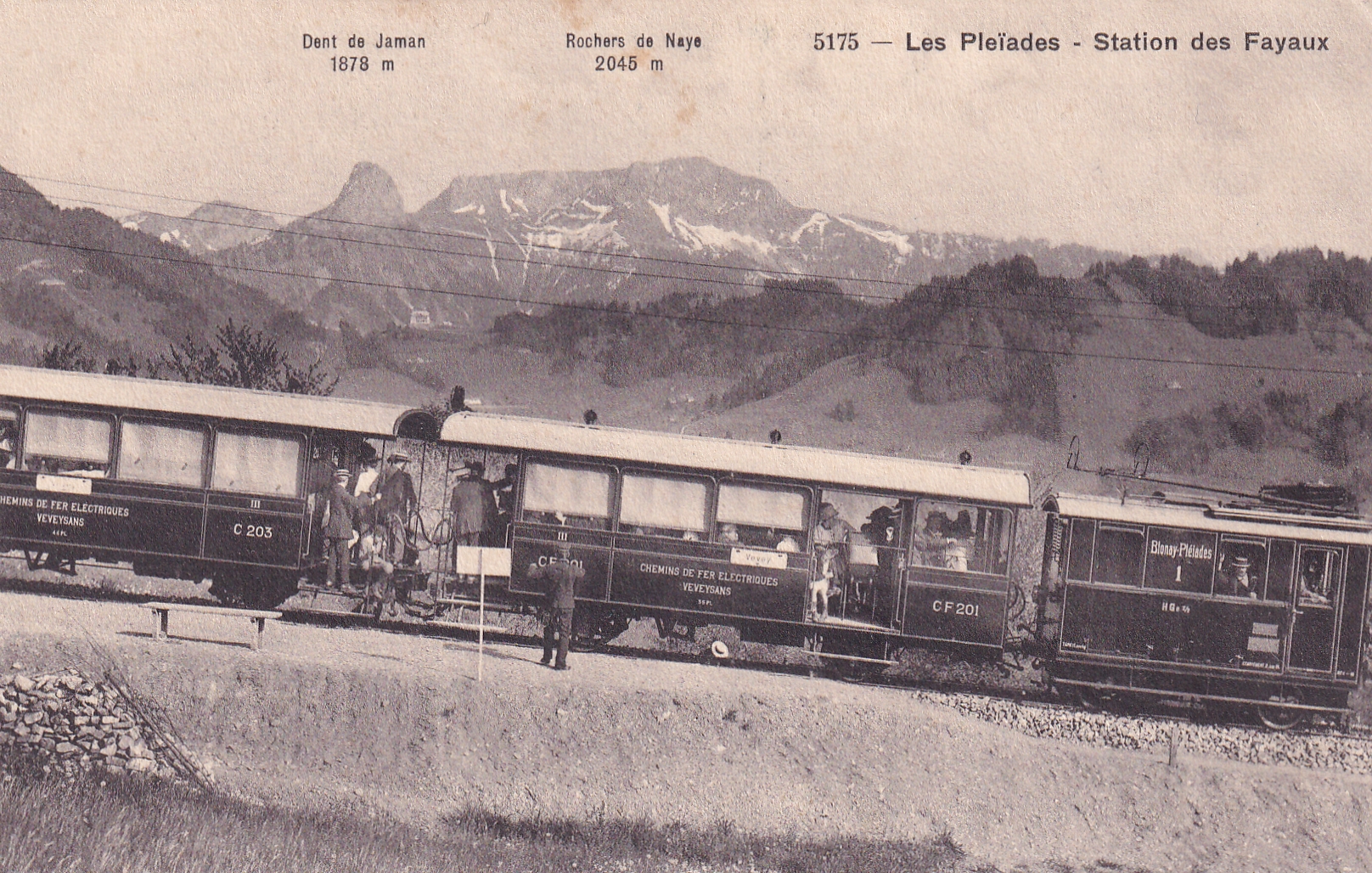 Ansichtskarte vom Station dex Fayaux  Les Pleidades