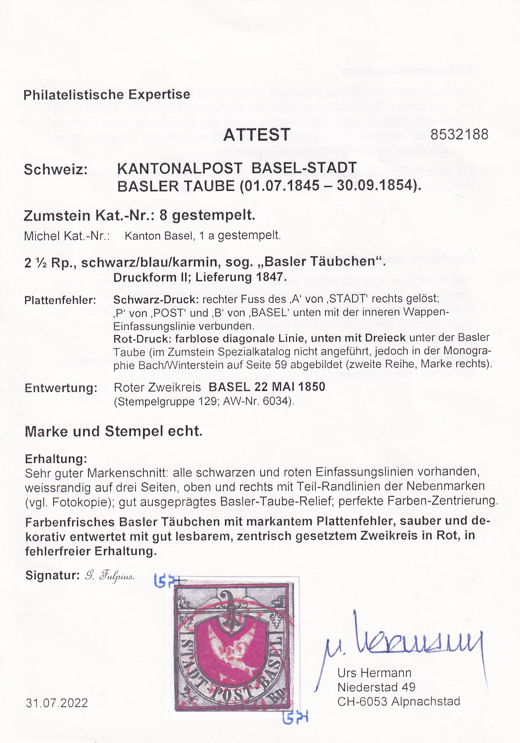 Basler Taube (Abart)