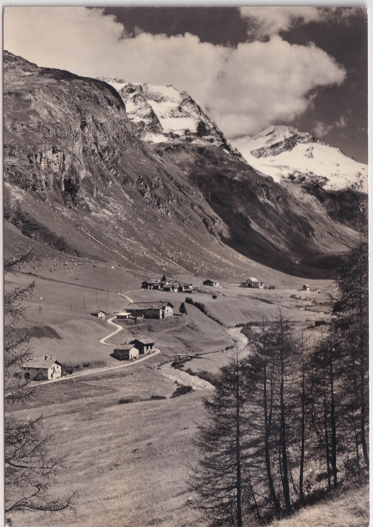 Ansichtskarte 23.7.1964 Oberengadin - Küssnacht
