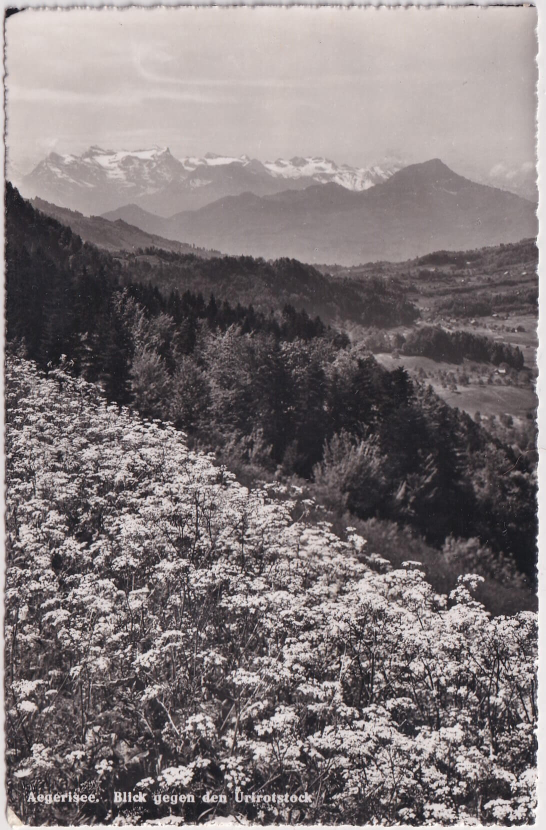 1.5.1953 Zug - Amriswil