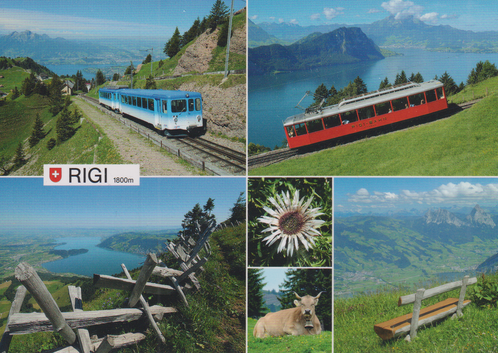 Rigi und Ihre Eisenbahnen